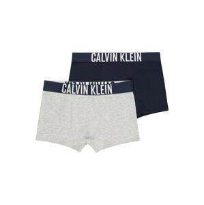 Calvin Klein Underwear Spodní prádlo 'Intense Power'  šedý melír / námořnická modř / bílá