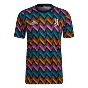 ADIDAS PERFORMANCE Trikot 'Juventus Turin Pre-Match'  mix barev / černá