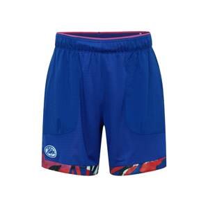 NIKE Sportovní kalhoty  modrá / mix barev