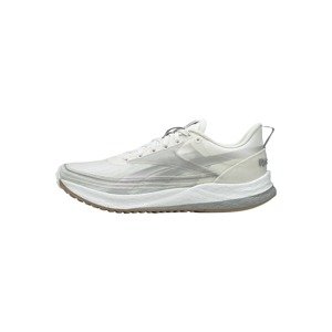 Reebok Sport Běžecká obuv 'Floatride Energy 4'  šedá / offwhite