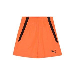 PUMA Sportovní kalhoty 'TeamLIGA'  oranžová / černá