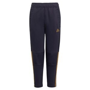 ADIDAS SPORTSWEAR Sportovní kalhoty  tmavě modrá / zlatá