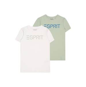 ESPRIT Tričko  modrá / pastelově zelená / bílá