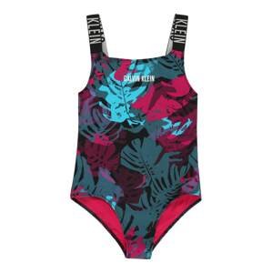Calvin Klein Swimwear Plavky  mix barev / černá