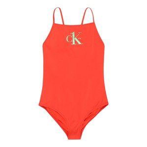 Calvin Klein Swimwear Plavky  světle zelená / oranžová