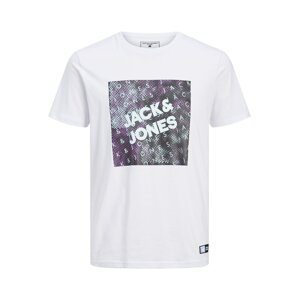 JACK & JONES Tričko  šedá / bílá