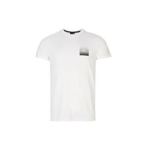 O'NEILL Funkční tričko  šedá / bílá