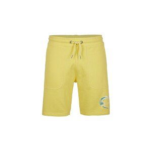 O'NEILL Sportovní kalhoty  žlutá / petrolejová / bílá