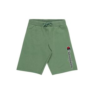 Champion Authentic Athletic Apparel Kalhoty  zelená / námořnická modř / bílá / červená