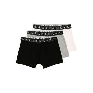 Calvin Klein Underwear Spodní prádlo  černá / šedá / bílá / růžová