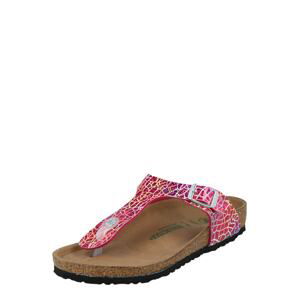 BIRKENSTOCK Sandály  fialová / pink / červená