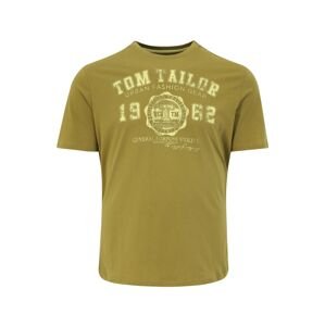 TOM TAILOR Men + Tričko  olivová / pastelově žlutá