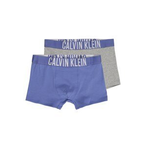 Calvin Klein Underwear Spodní prádlo 'Intense Power'  modrá