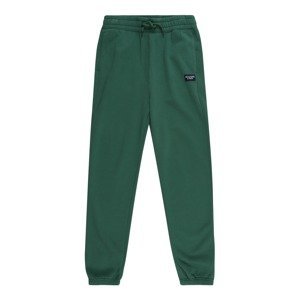 Abercrombie & Fitch Kalhoty  tmavě zelená