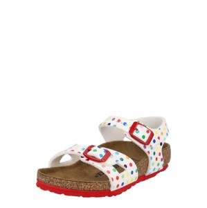 BIRKENSTOCK Sandály 'Rio'  bílá / mix barev