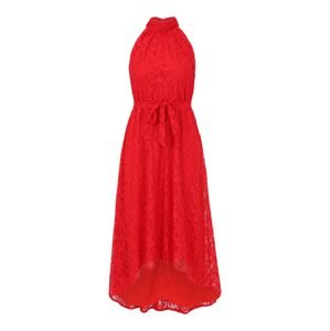 Wallis Petite Koktejlové šaty  ohnivá červená