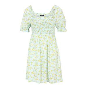 Trendyol Petite Letní šaty  azurová / žlutá / světle zelená