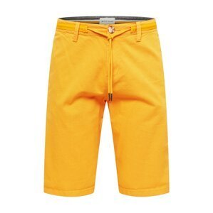 TOM TAILOR Chino kalhoty  žlutá