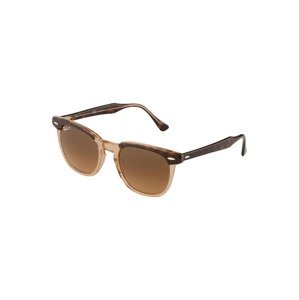 Ray-Ban Sluneční brýle '0RB2298'  hnědá / světle hnědá