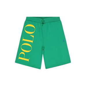 Polo Ralph Lauren Kalhoty  žlutá / světle zelená / tmavě fialová