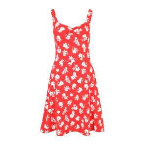 Dorothy Perkins Letní šaty  červená / bílá