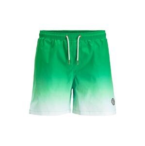 JACK & JONES Plavecké šortky 'Milos'  zelená / světle zelená