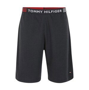 Tommy Hilfiger Underwear Kalhoty  modrá / bílá / červená