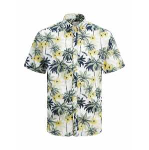 Jack & Jones Junior Košile 'JORALOHA'  mix barev