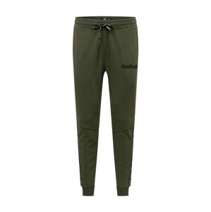 HOLLISTER Kalhoty  tmavě zelená / černá