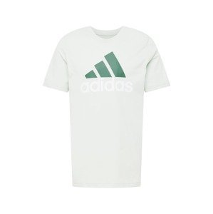 ADIDAS SPORTSWEAR Funkční tričko  pastelově zelená / tmavě zelená / bílá