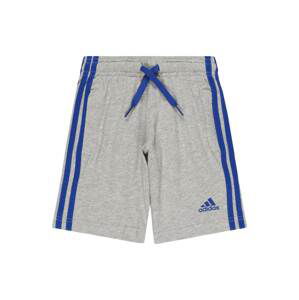 ADIDAS SPORTSWEAR Sportovní kalhoty  modrá / šedý melír