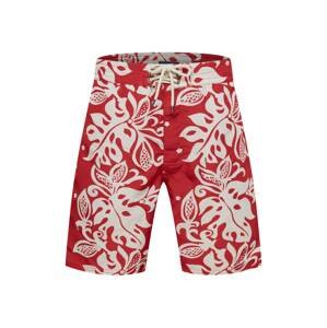 Polo Ralph Lauren Plavecké šortky 'PALM ISLAND'  červená / bílá