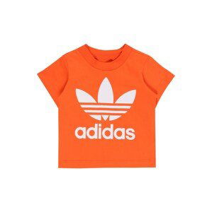 ADIDAS ORIGINALS Tričko  oranžová / bílá