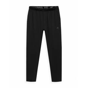 4F Sportovní kalhoty  šedá / černá