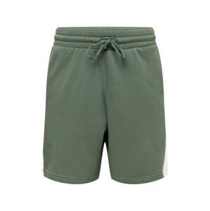 ADIDAS PERFORMANCE Sportovní kalhoty  zelená / bílá