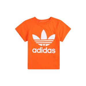 ADIDAS ORIGINALS Tričko  tmavě oranžová / bílá