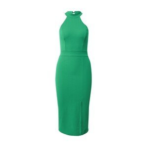 WAL G. Pouzdrové šaty 'JASMINA'  zelená