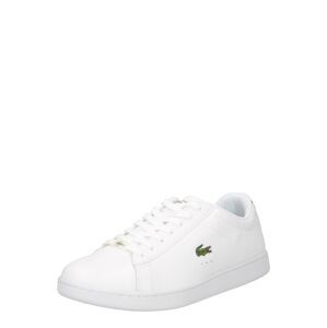 LACOSTE Tenisky 'CARNABY'  bílá / zelená