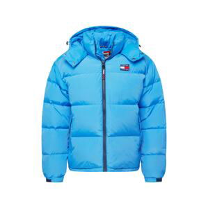 Tommy Jeans Zimní bunda 'Alaska'  námořnická modř / světlemodrá / červená / bílá