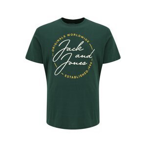 Jack & Jones Plus Tričko 'JERRYS'  tmavě zelená / bílá / žlutá
