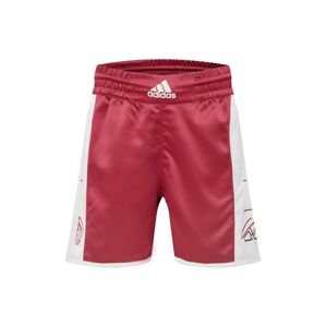 ADIDAS PERFORMANCE Sportovní kalhoty 'DAME'  burgundská červeň / bílá / černá