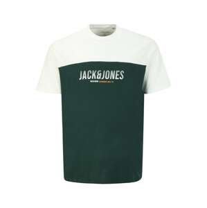 Jack & Jones Plus Tričko  žlutá / zelená / bílá