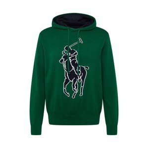 Polo Ralph Lauren Svetr  tmavě modrá / zelená / bílá