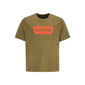 Levi's® Big & Tall Tričko 'B&T BIG GRAPHIC TEE GREENS'  olivová / tmavě oranžová