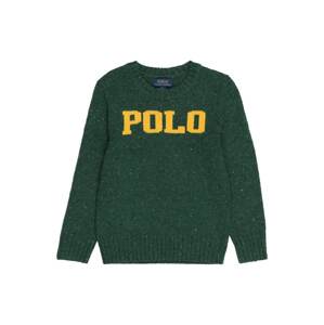 Polo Ralph Lauren Svetr  žlutá / tmavě zelená