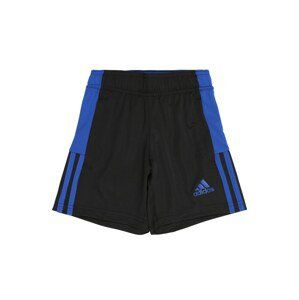 ADIDAS PERFORMANCE Sportovní kalhoty  modrá / černá