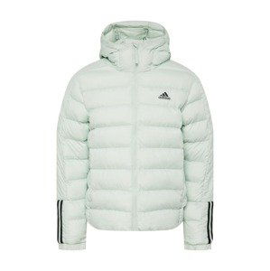 ADIDAS SPORTSWEAR Outdoorová bunda 'Itavic'  pastelově zelená / černá