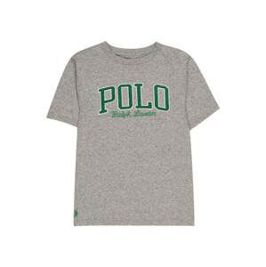 Polo Ralph Lauren Tričko  šedá / smaragdová / bílá