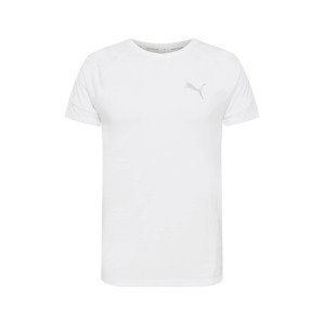 PUMA Funkční tričko 'Evostripe'  šedá / bílá
