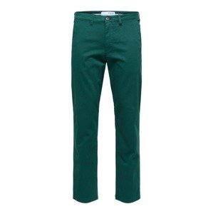 SELECTED HOMME Chino kalhoty 'Miles'  tmavě zelená